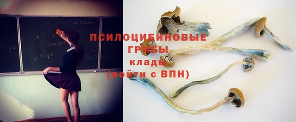 крисы Пересвет