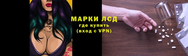 сатива Вуктыл