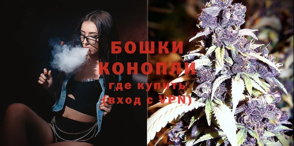 apvp Осинники