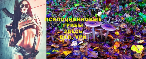 гашиш Осташков