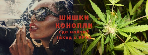 прущие грибы Пестово