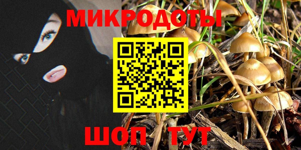 Торжок  где найти наркотики  Вход с VPN  Галлюциногенные грибы MAGIC MUSHROOMS 
